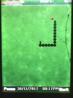 Snake 2
